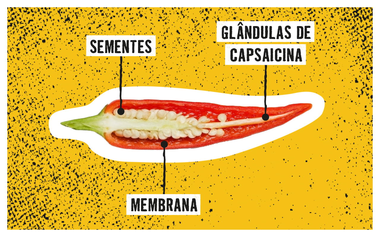 Capsaicina