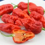 Bhut Kolokia